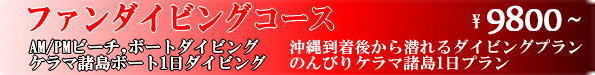 沖縄ファンダイビング